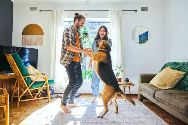 Landlords with tenants who have pets